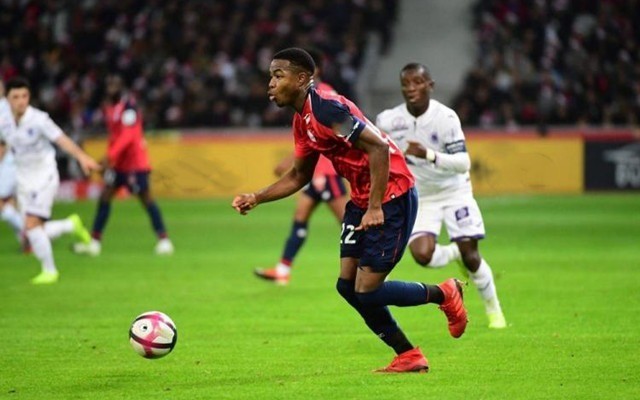 诈骗活动日 诈骗活动日